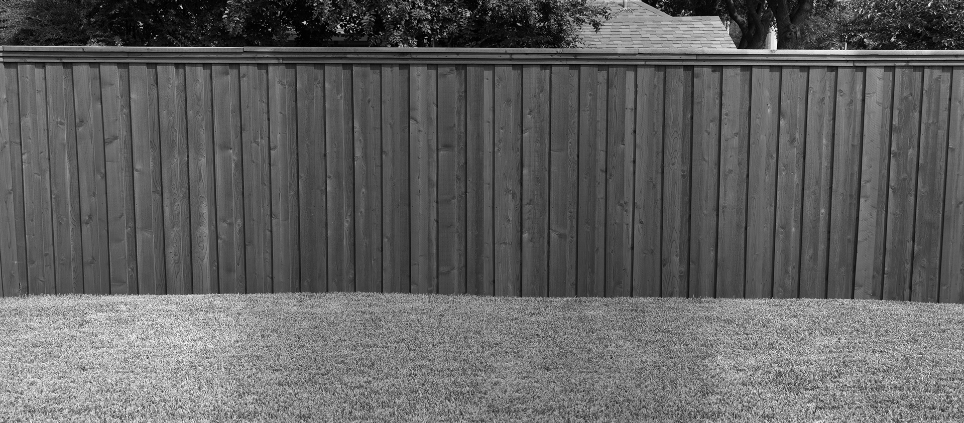 banner-image-2.png