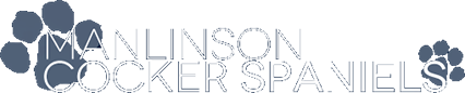 Manlinson Cocker Spaniels logo