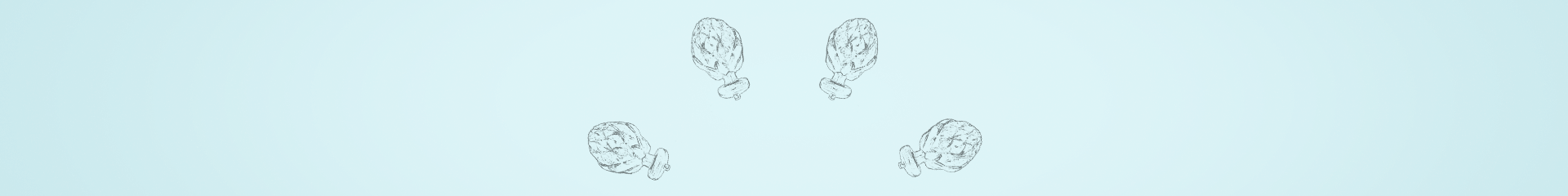 inner-carousel-1.png