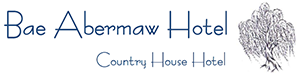 Bae Abermaw Ltd logo